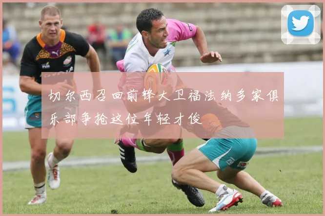 切尔西召回前锋大卫福法纳多家俱乐部争抢这位年轻才俊