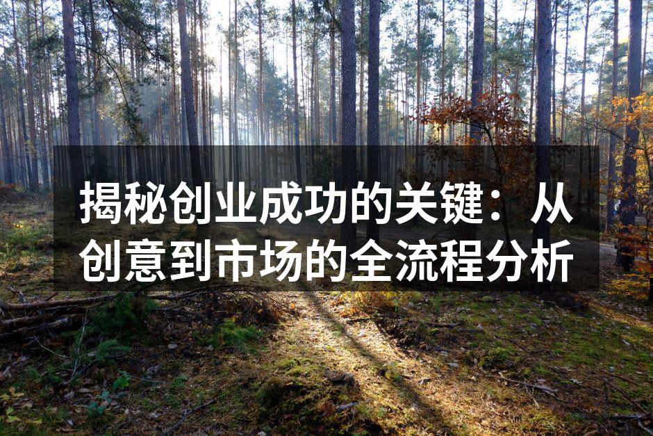 揭秘创业成功的关键：从创意到市场的全流程分析