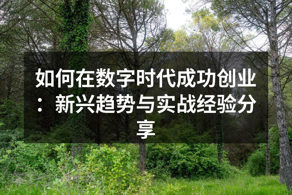 如何在数字时代成功创业：新兴趋势与实战经
