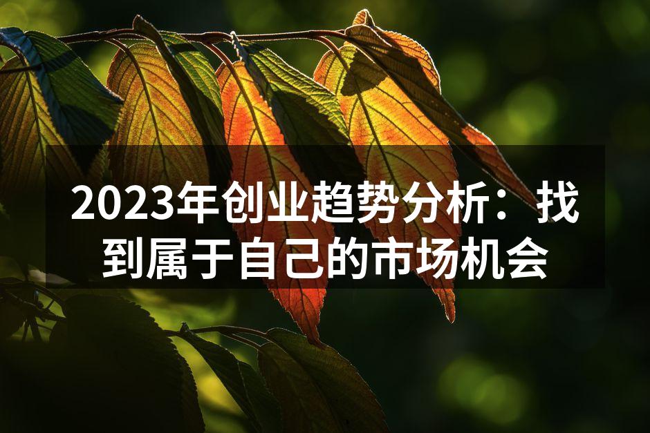 2023年创业趋势分析：找到属于自己的市