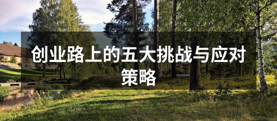 创业路上的五大挑战与应对策略